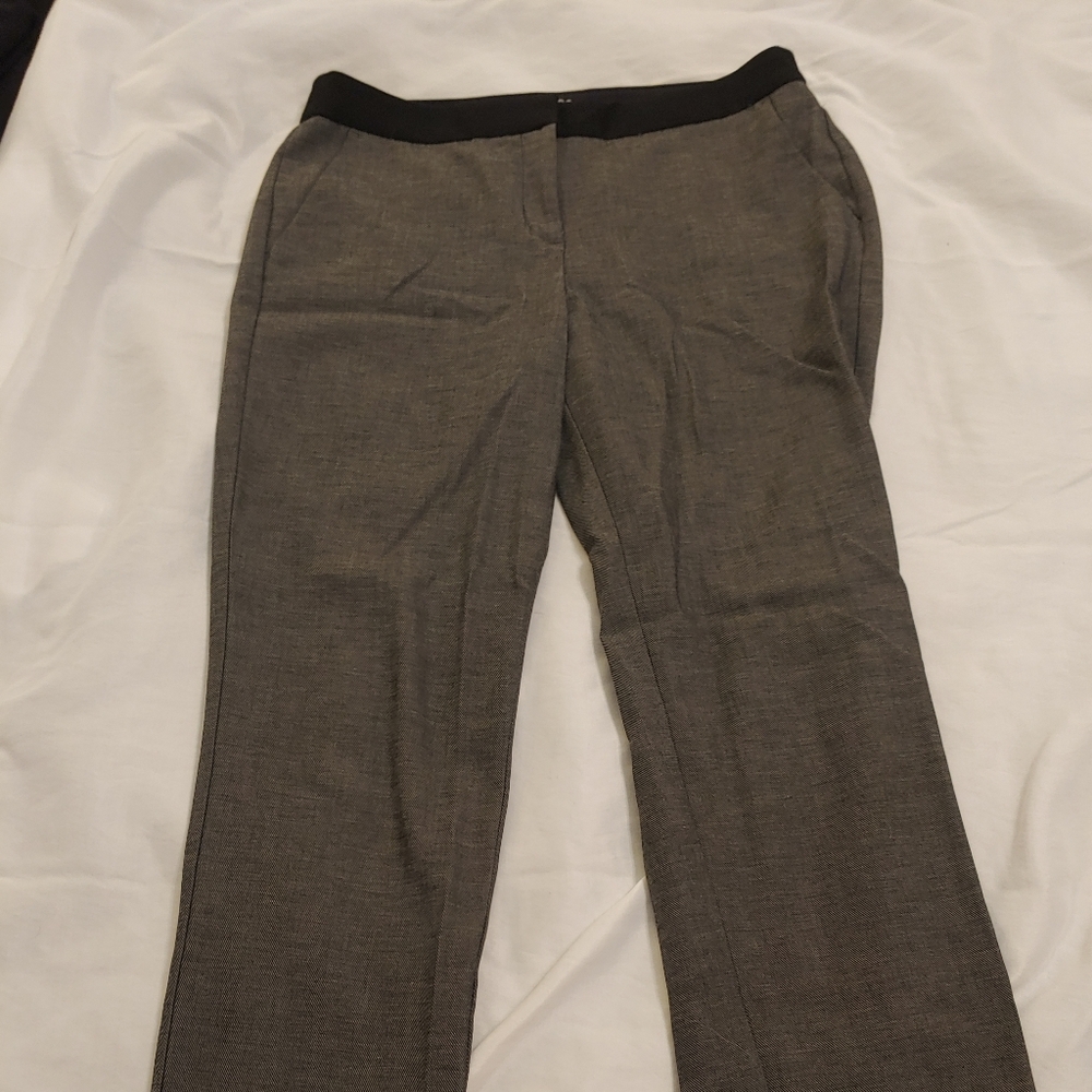 Express Columnist Pants